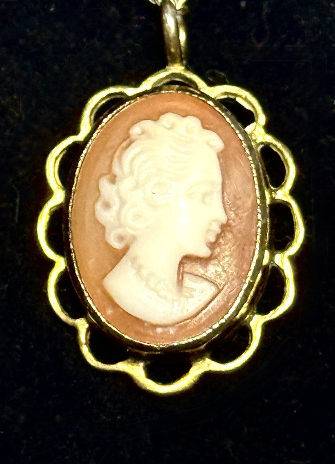 Totally Back In Fashion Vintage Shell Cameo Gold Pendant & Chain