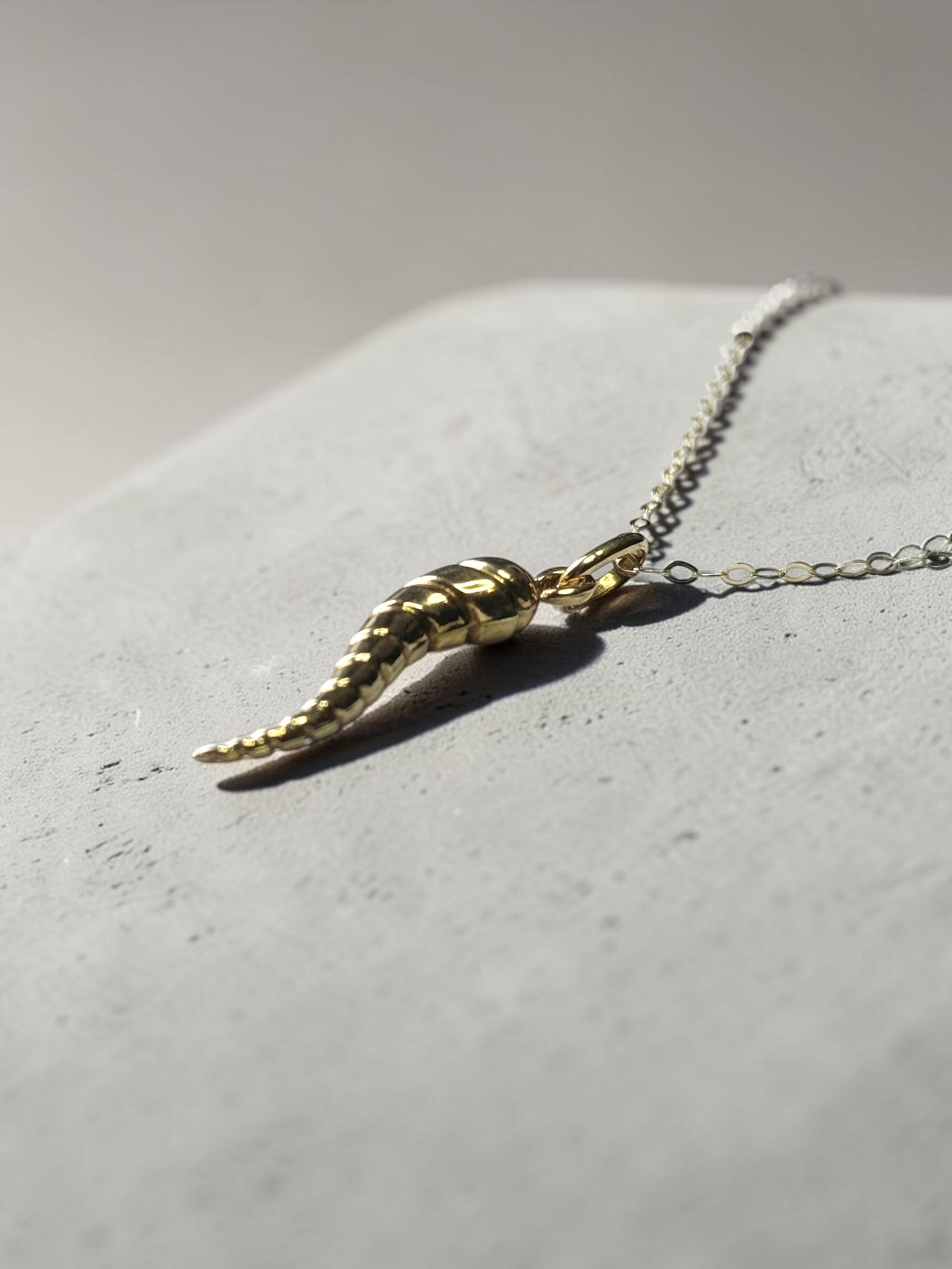9ct Gold Animal Horn Pendant & Chain