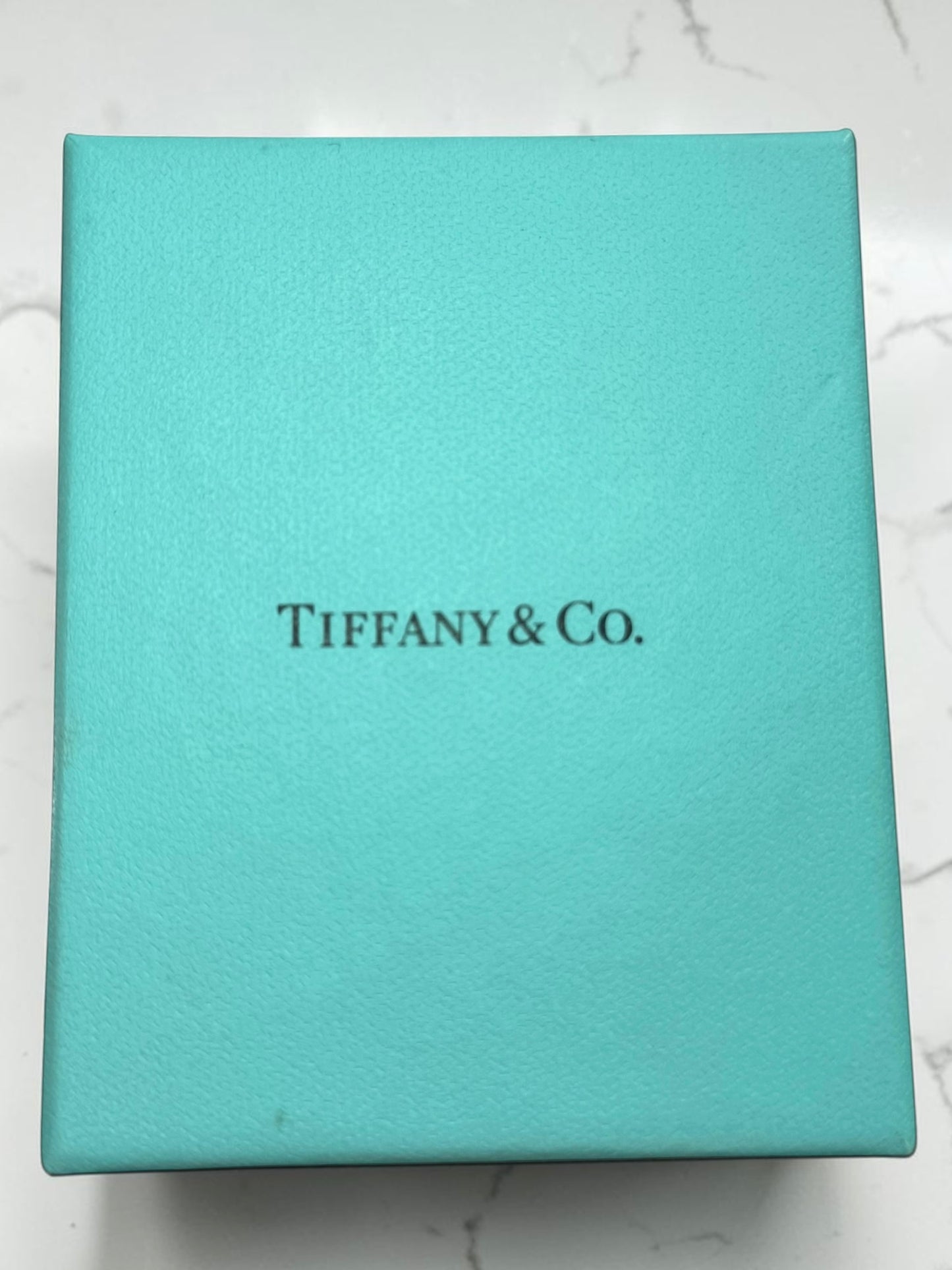 Tiffany & Co Colour By The Yard Aquamarine Necklace RRP £670