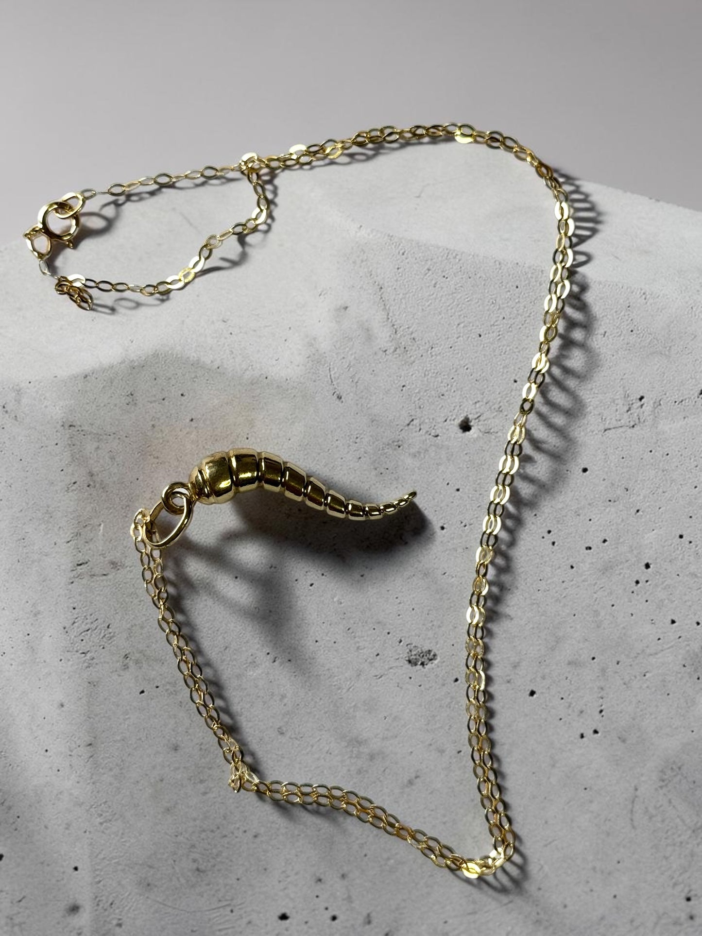 9ct Gold Animal Horn Pendant & Chain