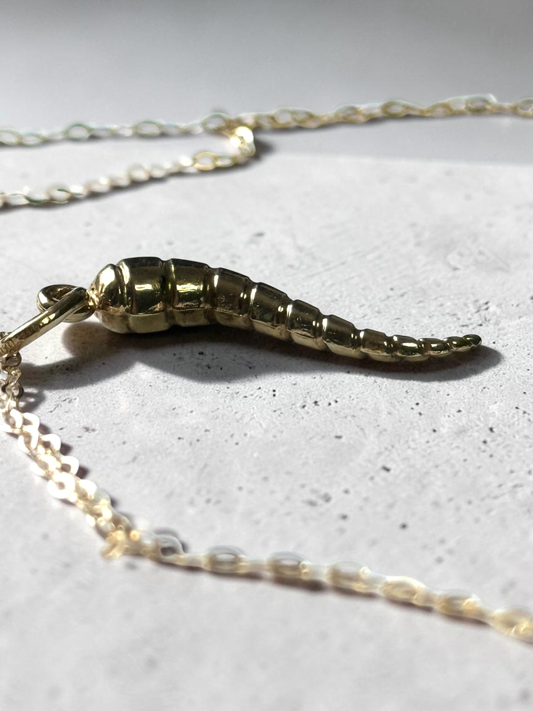 9ct Gold Animal Horn Pendant & Chain