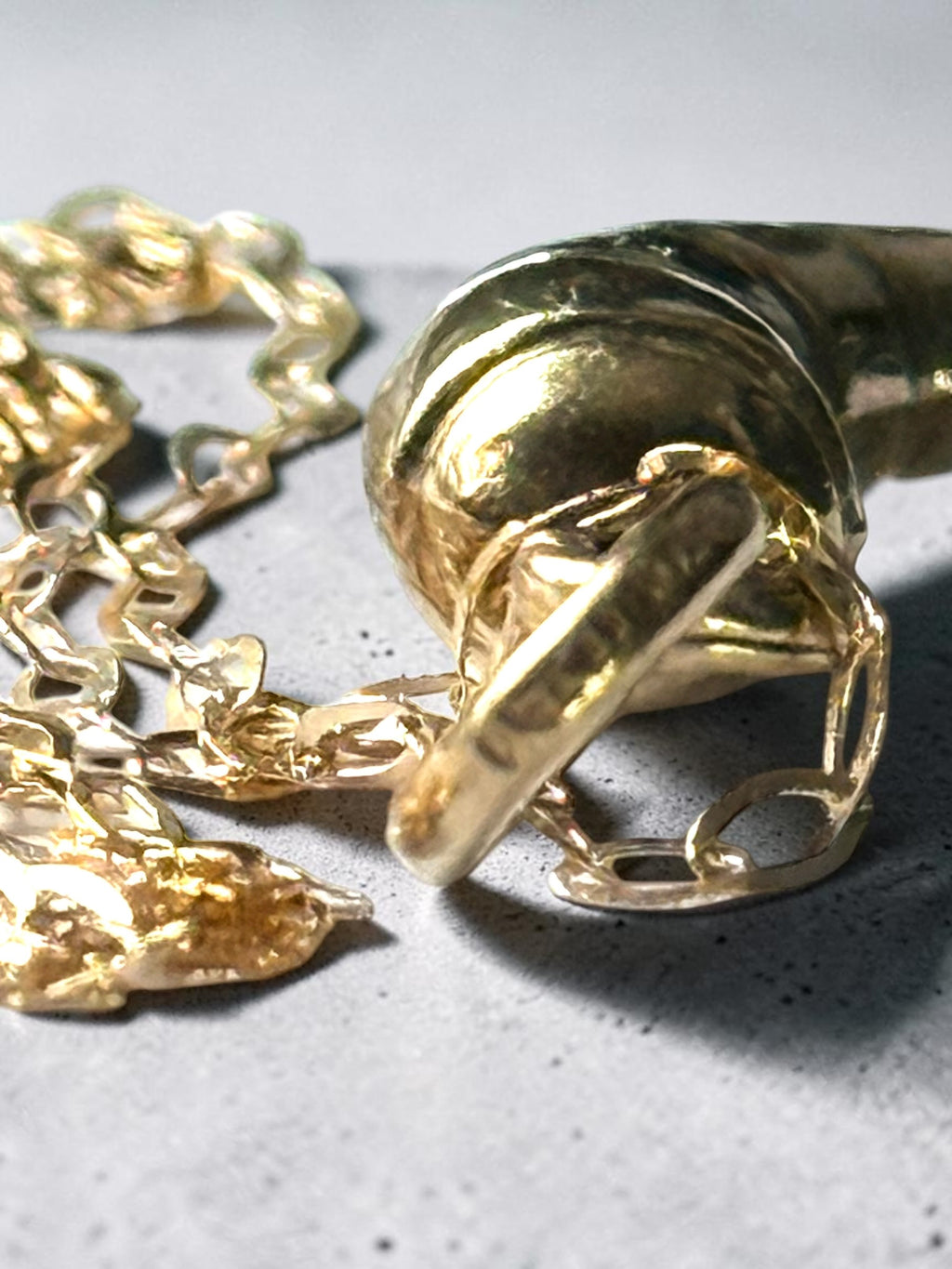 9ct Gold Animal Horn Pendant & Chain